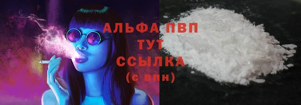 эйфоретик Баксан