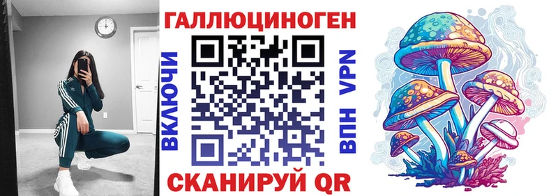 Галлюциногенные грибы Psilocybine cubensis  где купить наркоту  Белогорск 